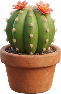 A round cactus with two coral-pink flowers on top.