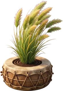 Tall feathery grass growing out of a little hand drum.