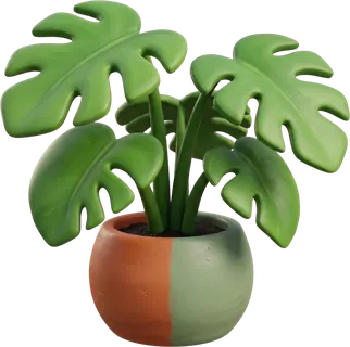 A monstera in a two-tone pot, half green and half terracotta.