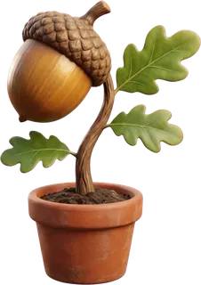 An acorn sprouting an oak seedling in a clay pot.